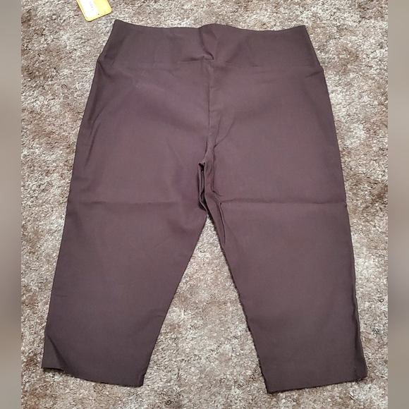 NWT Brown Capri Pants - Picture 2 of 7